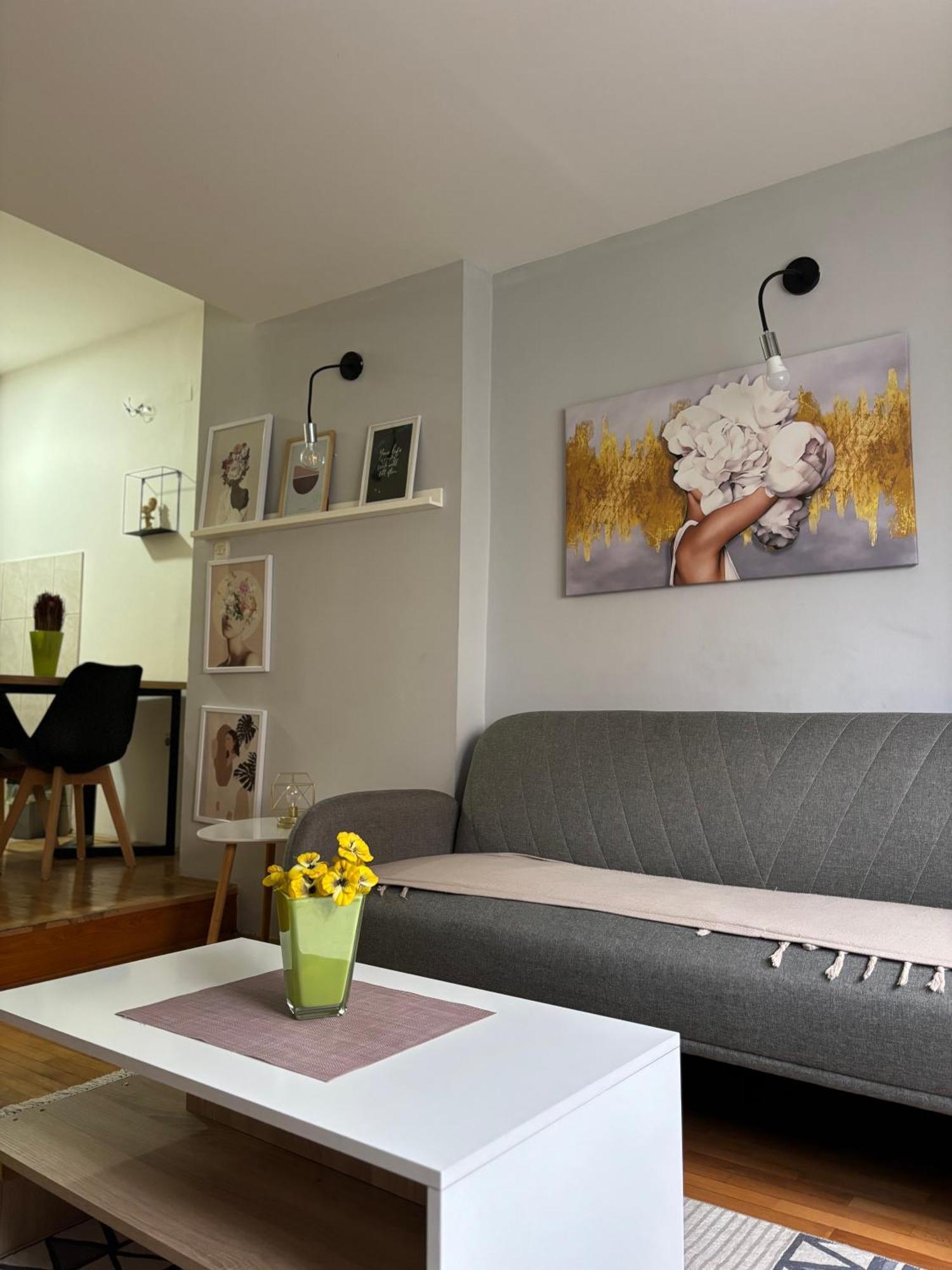 Mia'S Duplex Apartment Skopje Eksteriør bilde